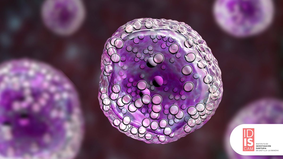 🦠 Desciframos la biología para nuevas estrategias terapéuticas

Desde la comunicación celular hasta la nanomedicina, el equipo de Juan Francisco Llopis investiga los mecanismos clave en cáncer y patologías cardíacas

¡Conoce más! idiscam.es/investigacion/…