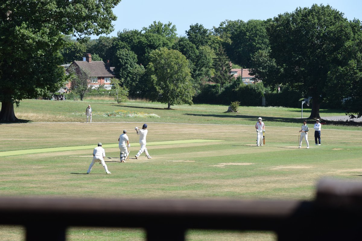 The Bushmen tweet media