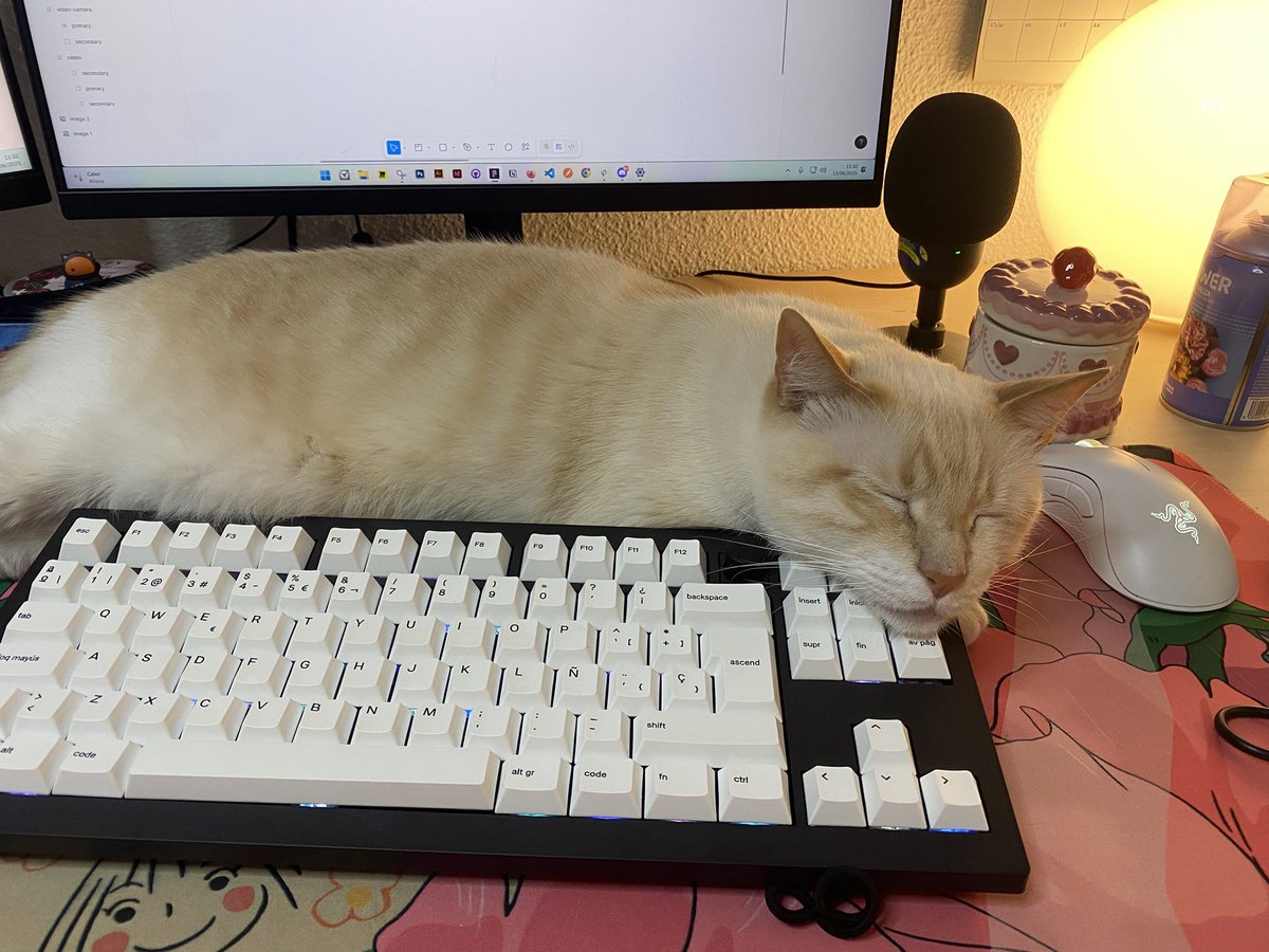 Irene 🌷 tweet media