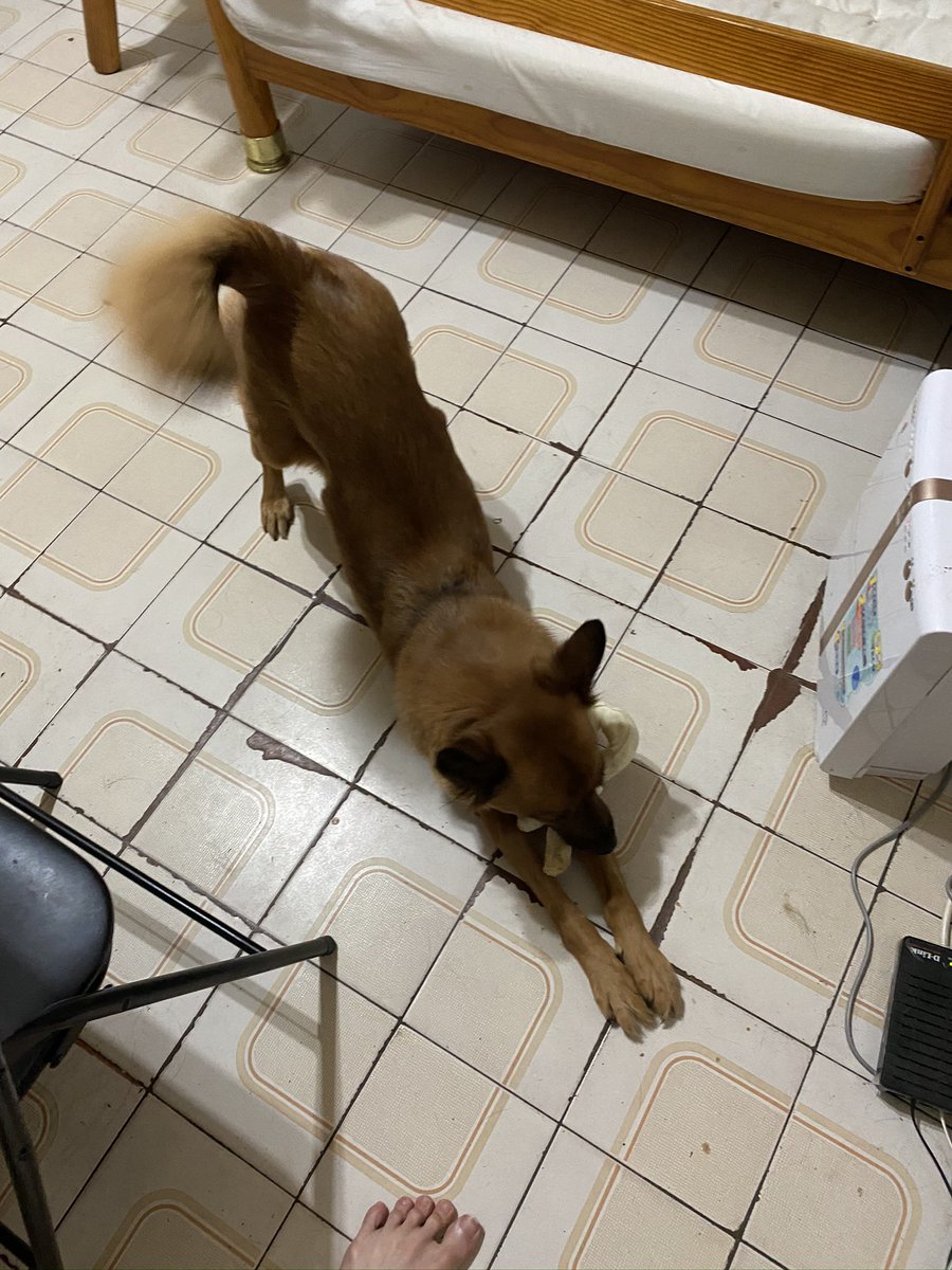 easonxiao (@easonxiao1) on Twitter photo 