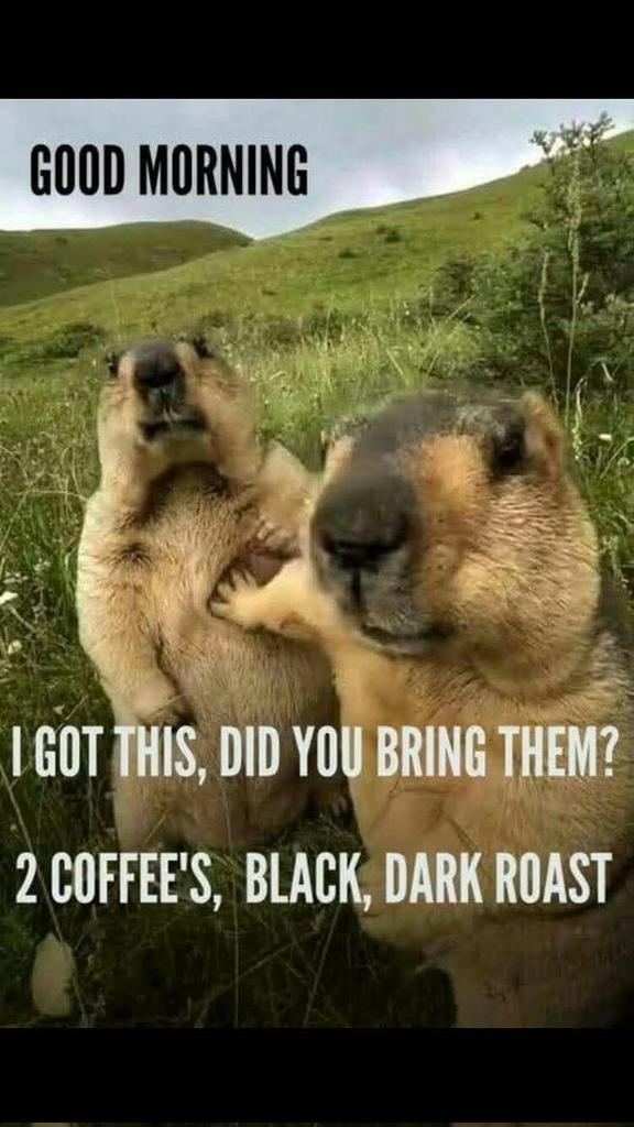 🦋DevineAngel_22💫😇 (@devineangel22) on Twitter photo Good morning beautiful souls 🤗 I got this, did you bring them..two coffees ☕ ☕, black, dark roast 😉😜🤣🤣 Well hello Friday, nice to see you come around 😉 Have a happy and blessed 🙌 day all 🙏🥰❤💖🦋🦅🇺🇲☕☕☕☕☕☕☕☕☕☕ Good morning beautiful souls 🤗 I got this, did you bring them..two coffees ☕ ☕, black, dark roast 😉😜🤣🤣 Well hello Friday, nice to see you come around 😉 Have a happy and blessed 🙌 day all 🙏🥰❤💖🦋🦅🇺🇲☕☕☕☕☕☕☕☕☕☕
