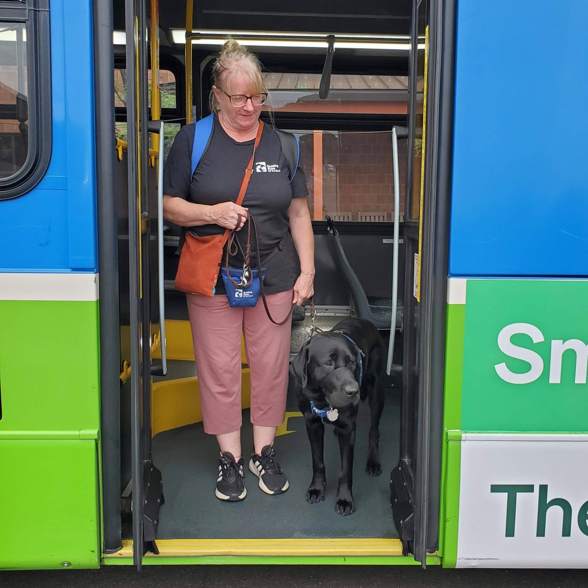 On Tuesday, 🐶 RTS welcomed Guiding Eyes for the blind and their pups for a bus socialization class. This helped the pups prepare for future bus riding trips and familiarized them with the smells, sights, and sounds of a bus.