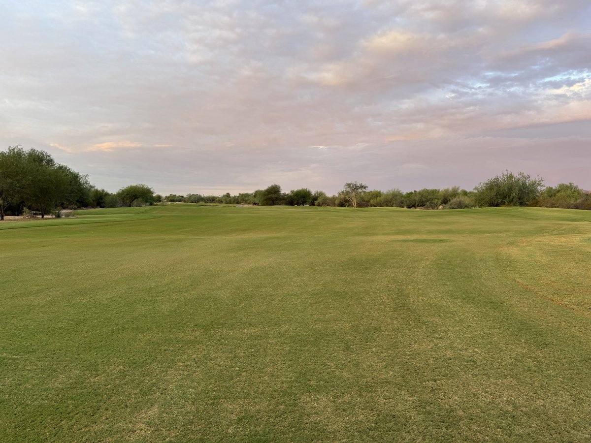 Travis Blamires (@travis_blamires) on Twitter photo Heavy verticut and sterilization on fairways this week <a href="/TontoVerdeGolf/">Tonto Verde Golf</a> followed up with <a href="/MolassesKings/">Molasses Kings</a> 3 Kings #feedthesoil #oxygen Now we wait for 🌧️ Heavy verticut and sterilization on fairways this week <a href="/TontoVerdeGolf/">Tonto Verde Golf</a> followed up with <a href="/MolassesKings/">Molasses Kings</a> 3 Kings #feedthesoil #oxygen Now we wait for 🌧️