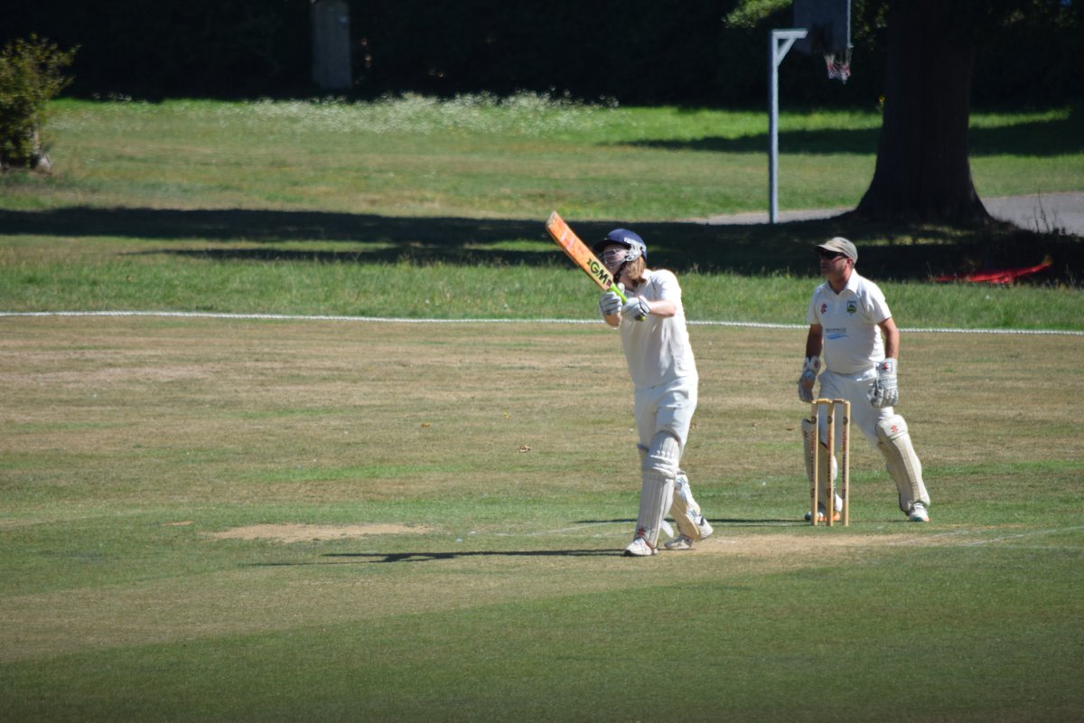 The Bushmen tweet media