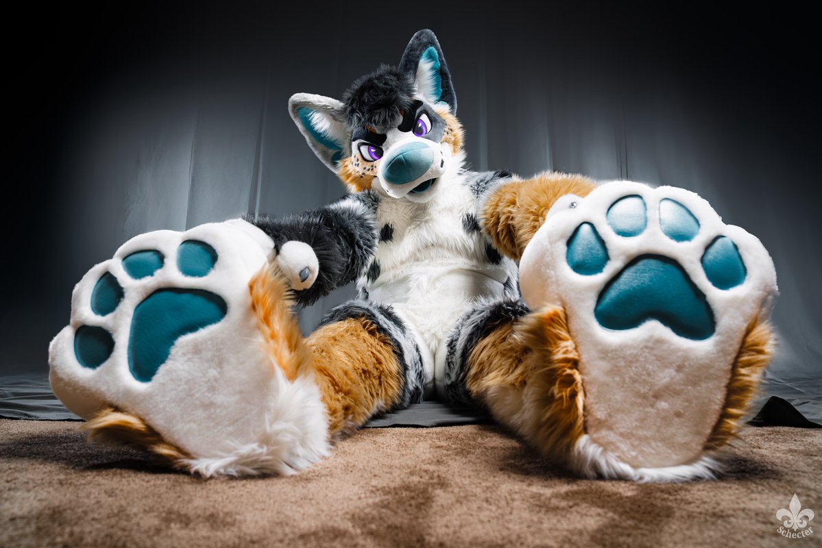 Avery of Dogtropolis (@foxeuphoria) on Twitter photo Showing you the beans for #FursuitFriday!
๐ชก: <a href="/mixedcandy/">Mixedcandy Inc</a>
๐ธ: <a href="/SchecterWolfe/">๐ฏ๐ตyapanese yotie tour๐ฏ๐ต</a> Showing you the beans for #FursuitFriday!
๐ชก: <a href="/mixedcandy/">Mixedcandy Inc</a>
๐ธ: <a href="/SchecterWolfe/">๐ฏ๐ตyapanese yotie tour๐ฏ๐ต</a>