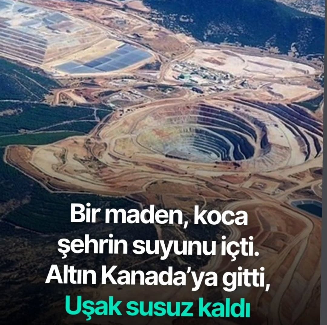 Beşinci Dünya Afrika ülkelerinden farkımız kalmadı.!! #çakal