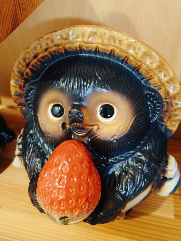 PoYmd's tweet image. 私のたぬき見て