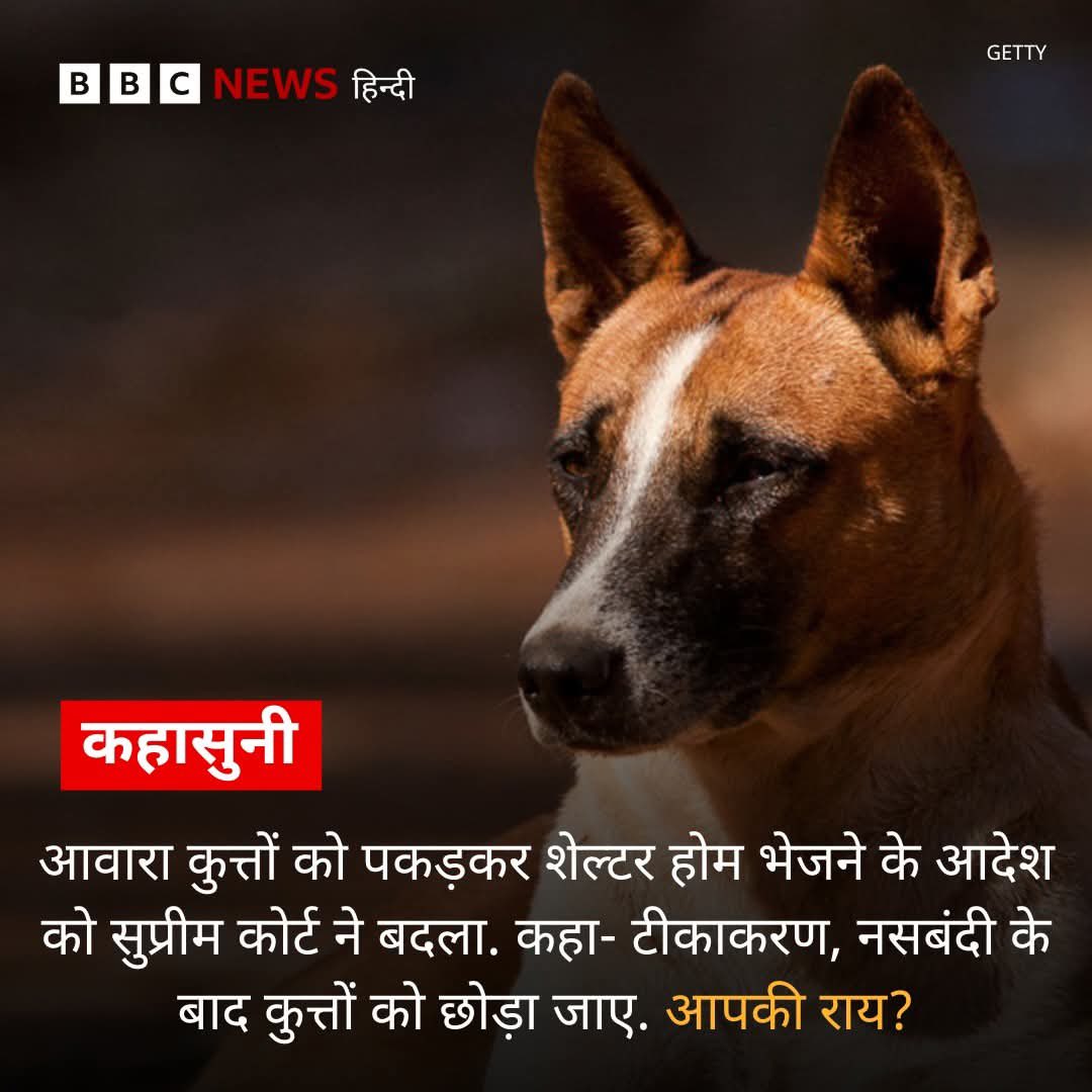 मेरा राय यही है कि 
कुत्ता प्रेमियों को एक कुत्ता गिफ्ट किया जाए