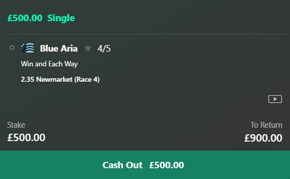 Lizard Bets tweet media