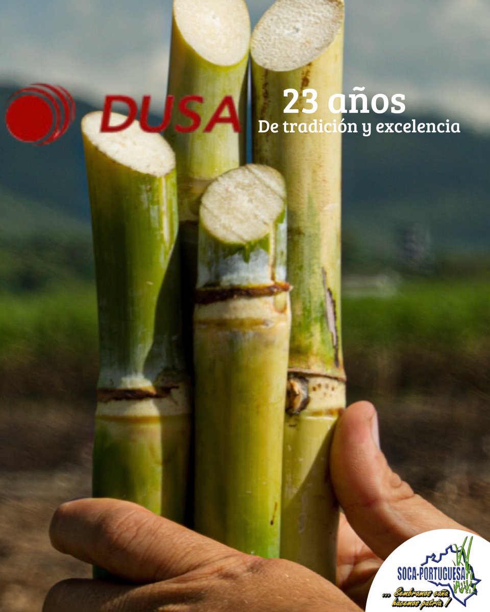 Los momentos especiales merecen un origen memorable, y en cada gota de pasión que ustedes destilan, está el dulce comienzo que nace en nuestra caña de azúcar.

Felicitamos al equipo de DUSA por sus 23 años de tradición y excelencia. 

Que sigan los éxitos 🇻🇪