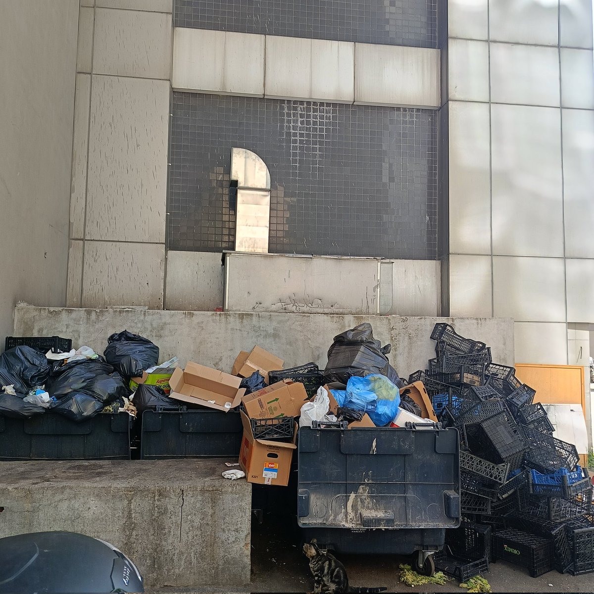 Yıl 2025 çöplerimizi rica etsek alırmısınız yoksa biz gelip kamyonmu çalalım😂