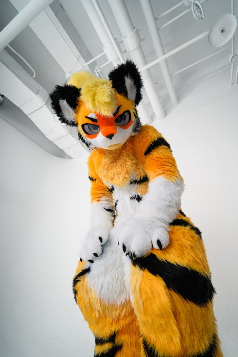 發現你了！

I found you!

📸 <a href="/VinTheCoyote/">VinTheCoyote（凡凡）</a> 

#FursuitFriady