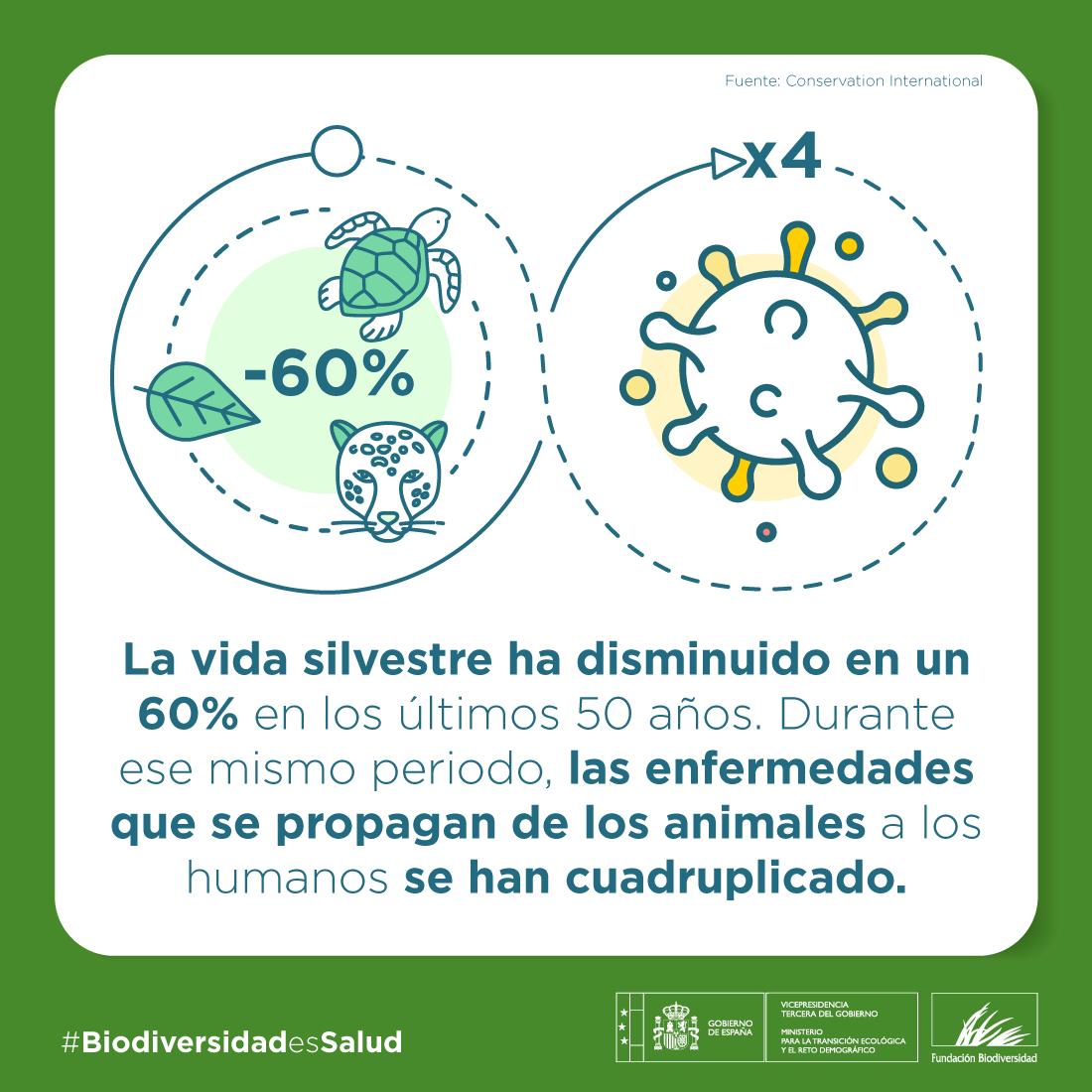 🌍 La pérdida de biodiversidad avanza a un ritmo alarmante, amenazando nuestro bienestar y el de las generaciones futuras.

Proteger la #biodiversidad es proteger la salud del planeta y nuestra salud 💚

#BiodiversidadEsSalud