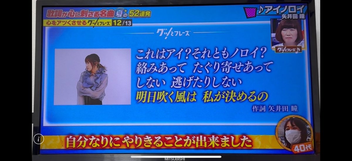 ねこへいの猫介 tweet media