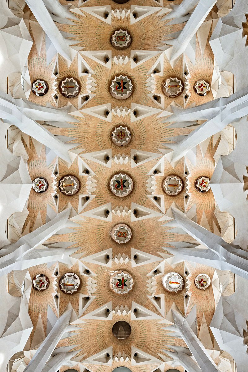 The vaults of the Temple naves are made up of hyperboloids, another ruled surface found in nature. 🌳✨

#SagradaFamília #Barcelona #Gaudí