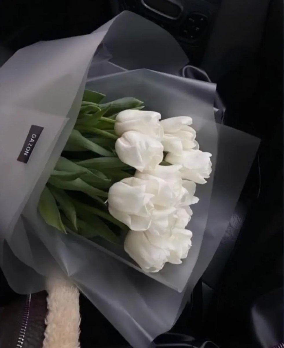 MasihDigital's tweet photo. تا وقتی لیلیوم و لاله هست چرا رز؟ https://t.co/WIww6ft6g0
