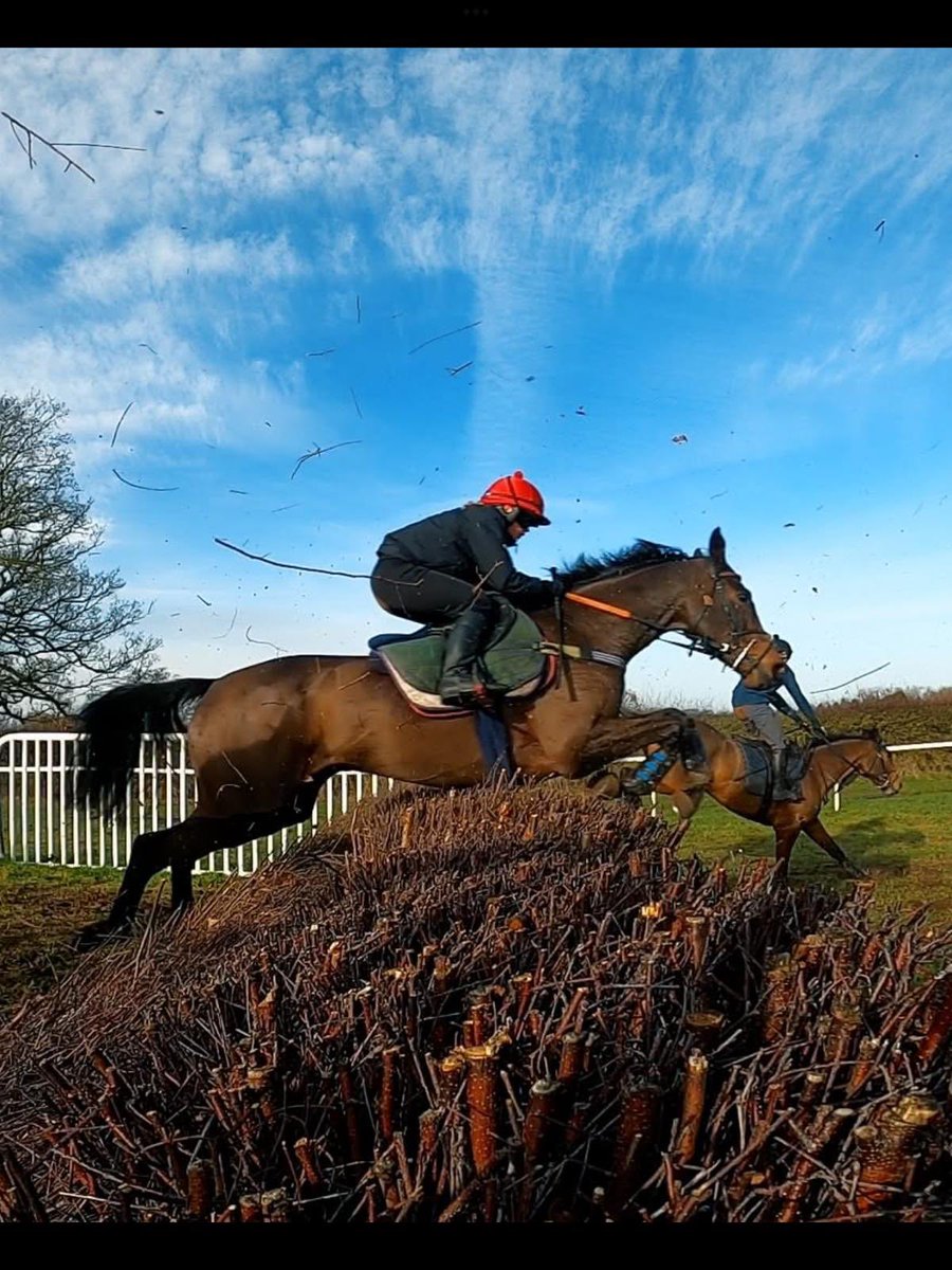 Just two days to go until our Annual National Racehorse Week yard open day which is on Sunday 24th August from 10am - 12 noon.  Come along to see the horses in the yard, all welcomed! 
Spaces available, more info and book here:👇👇
nationalracehorseweek.uk/yard/david-den…
#NationalRacehorseWeek