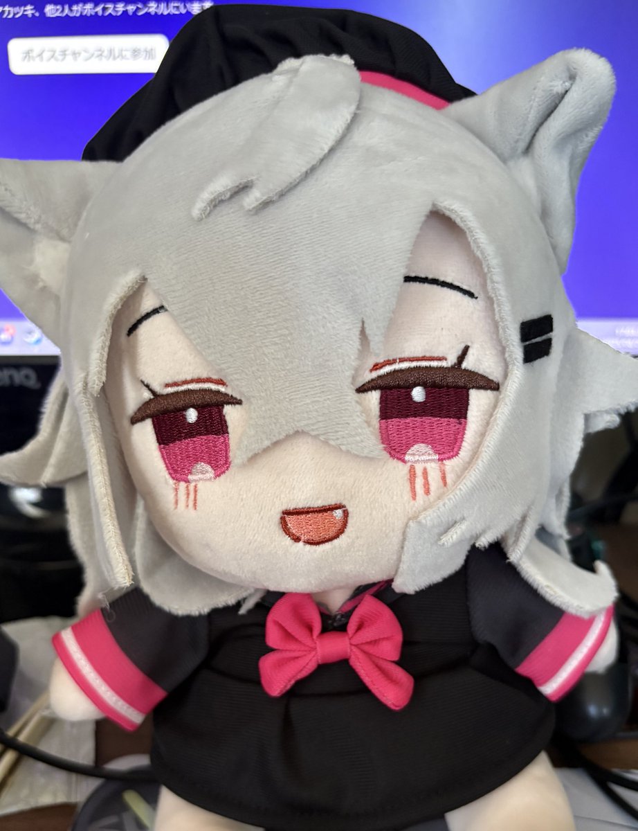 <a href="/ookamiriru/">りる。🐺</a> りるぬい届きました！感謝〜