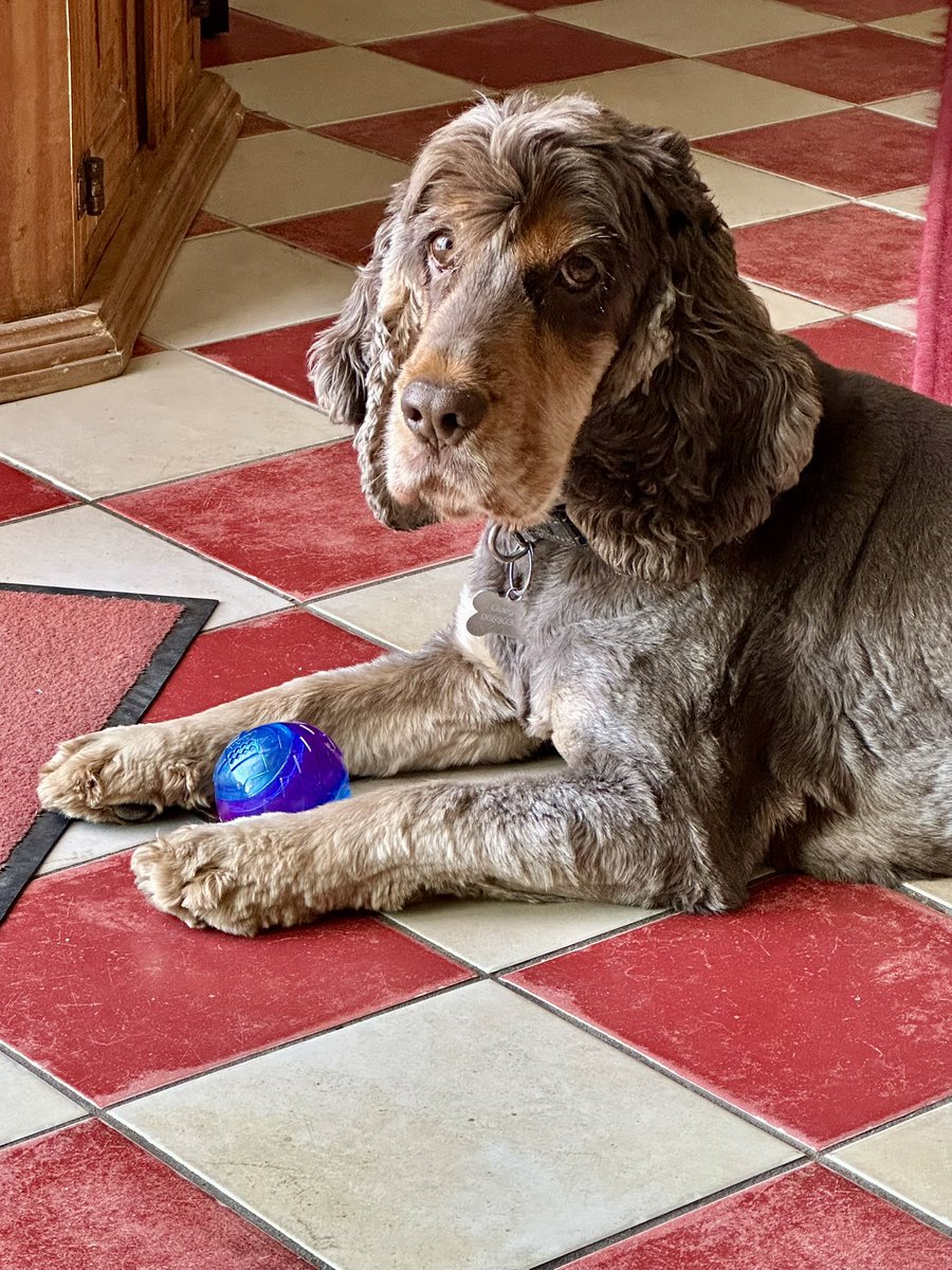 Y’a 1 parisienne qui a débarqué hier am à la maison
Aujourd’hui la blonde est partie jouer les touristes avec elle à la plage…SANS MOI!!
Alors oui je te juge fort la morue