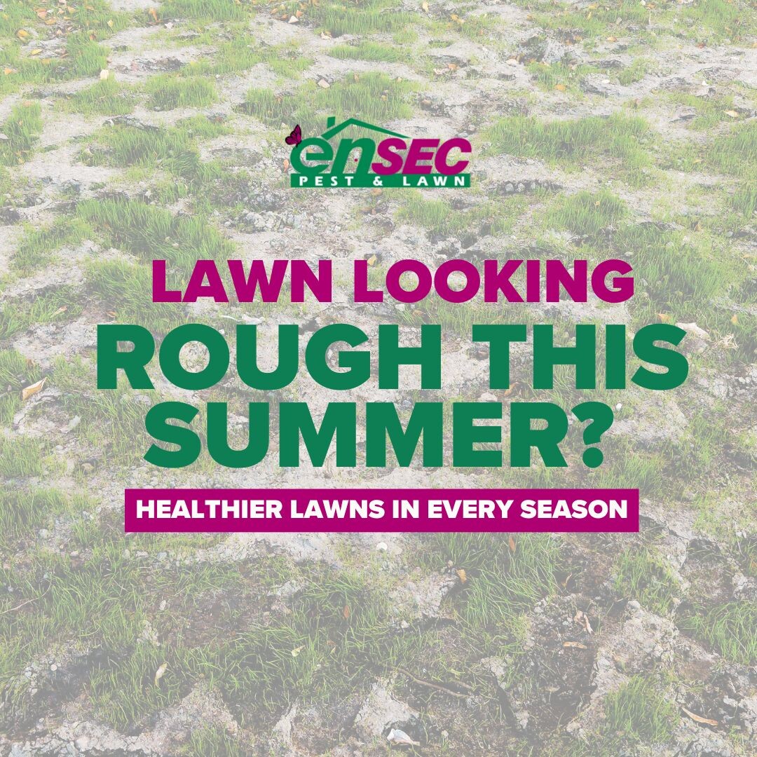 Brown spots, weeds and fire ants? Let EnSec bring your lawn back to life this summer. 🌿
#LawnCareExperts #HealthyYard #EnSecGreenTeam #GulfCoastLawnCare