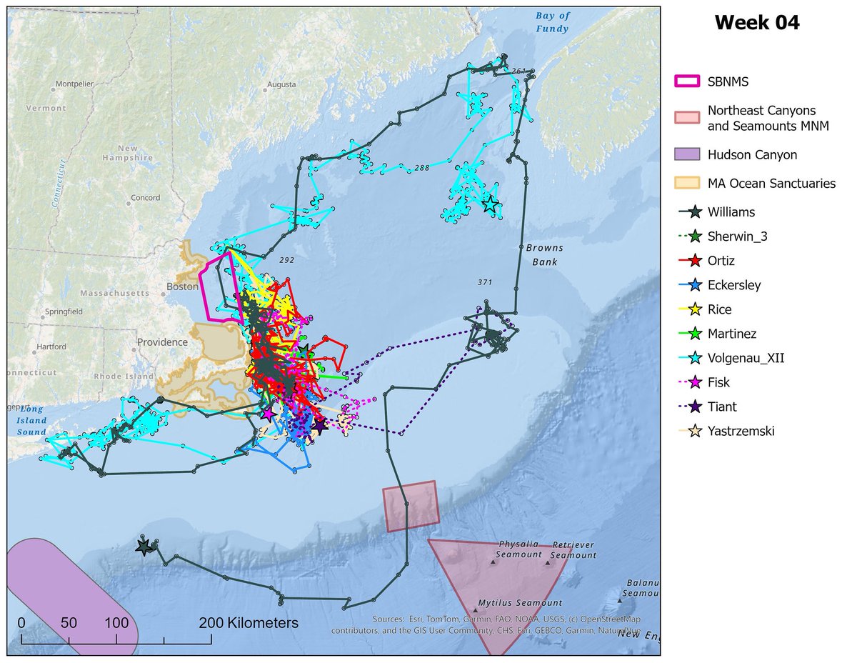 NOAA Stellwagen Bank NMS tweet media