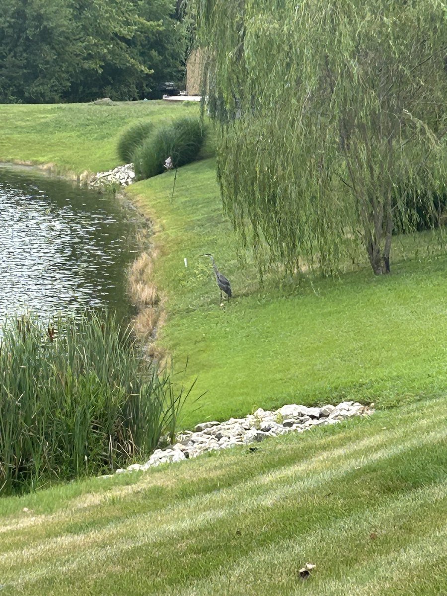 Gary’s back. 1st time in 2 weeks I’ve seen him.