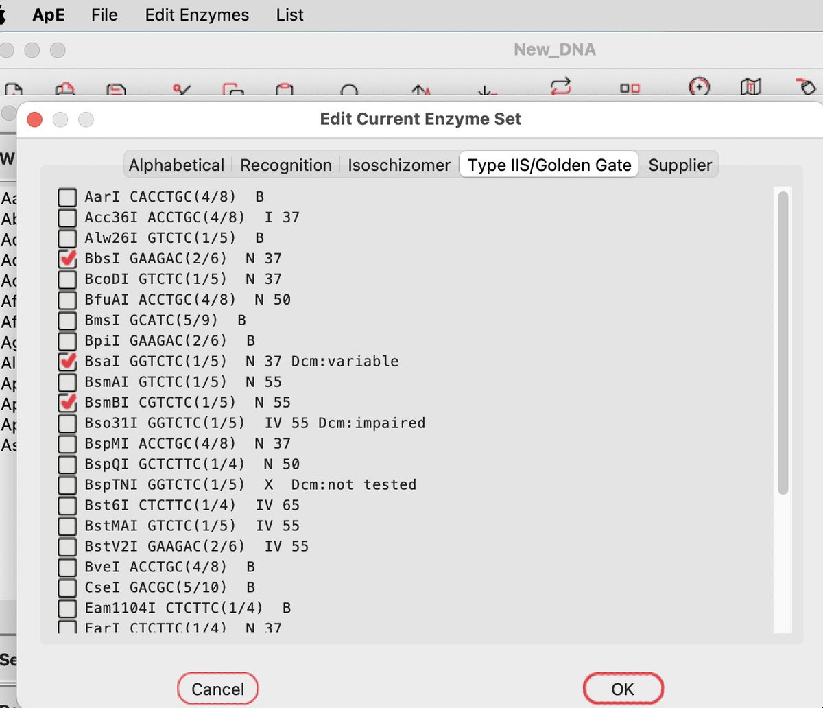 ApE A plasmid editor tweet media