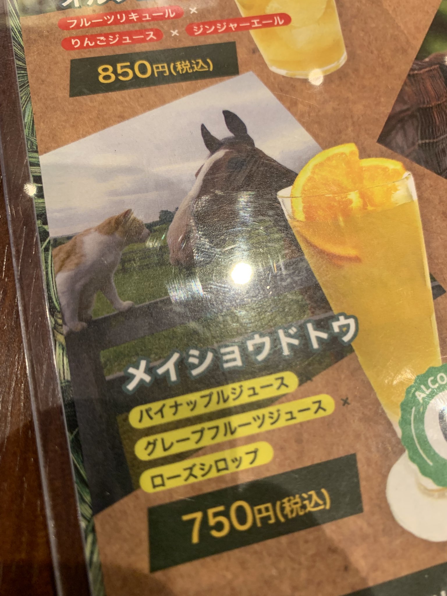 ちゅん ページ 5000000002115_01.jpg
