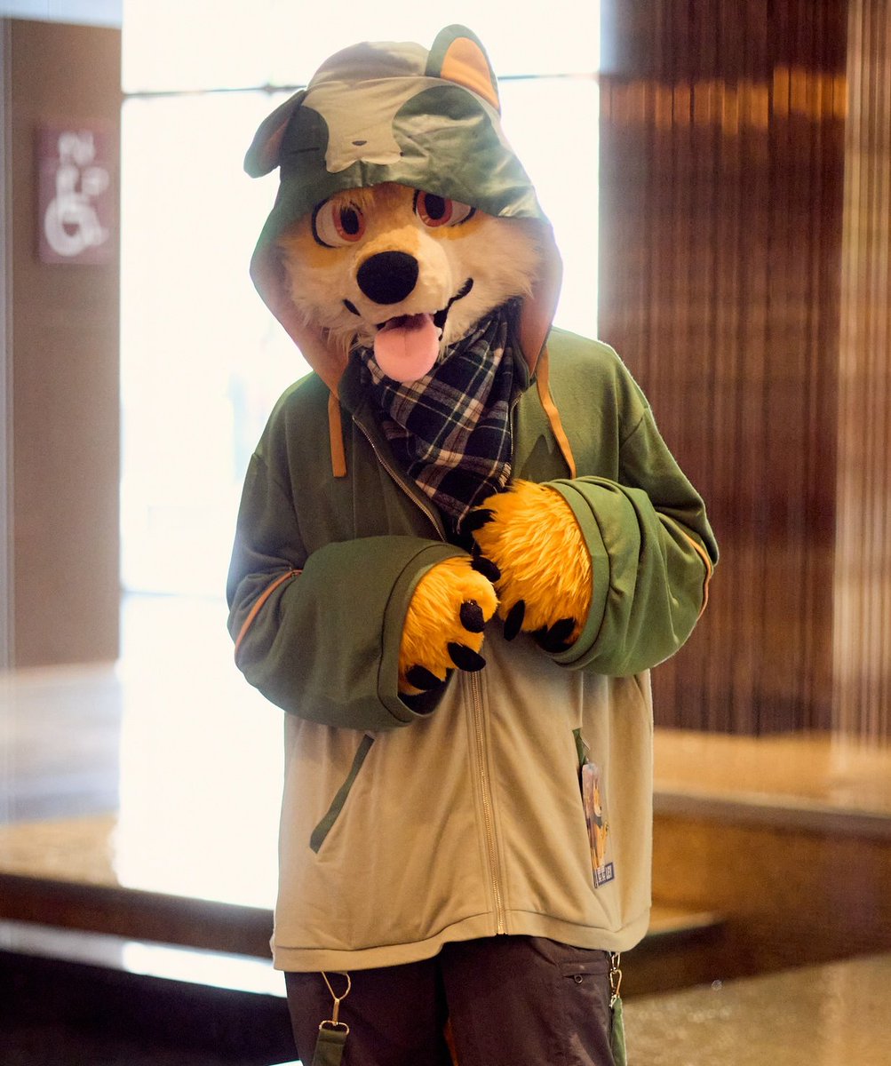 a fox spots you in the distance 🦊✨ #FursuitFriday 
📸: <a href="/TorrFoxx/">圖爾 UTFG 🔜 Infurnity 2025</a>