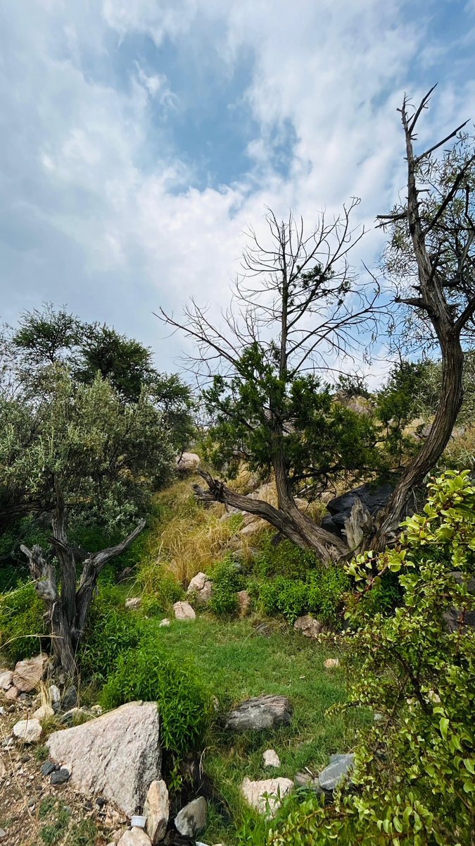 زينب 💛🇸🇦🆉🅰🅸🅽🅰🅱 (@zooz5832) on Twitter photo <a href="/Khaled8888k/">Khaled bin Abdullah</a> #هدية_أجمل_صورة 
ونشارك #تصويري ❤️🌸🕊️ <a href="/Khaled8888k/">Khaled bin Abdullah</a> #هدية_أجمل_صورة 
ونشارك #تصويري ❤️🌸🕊️