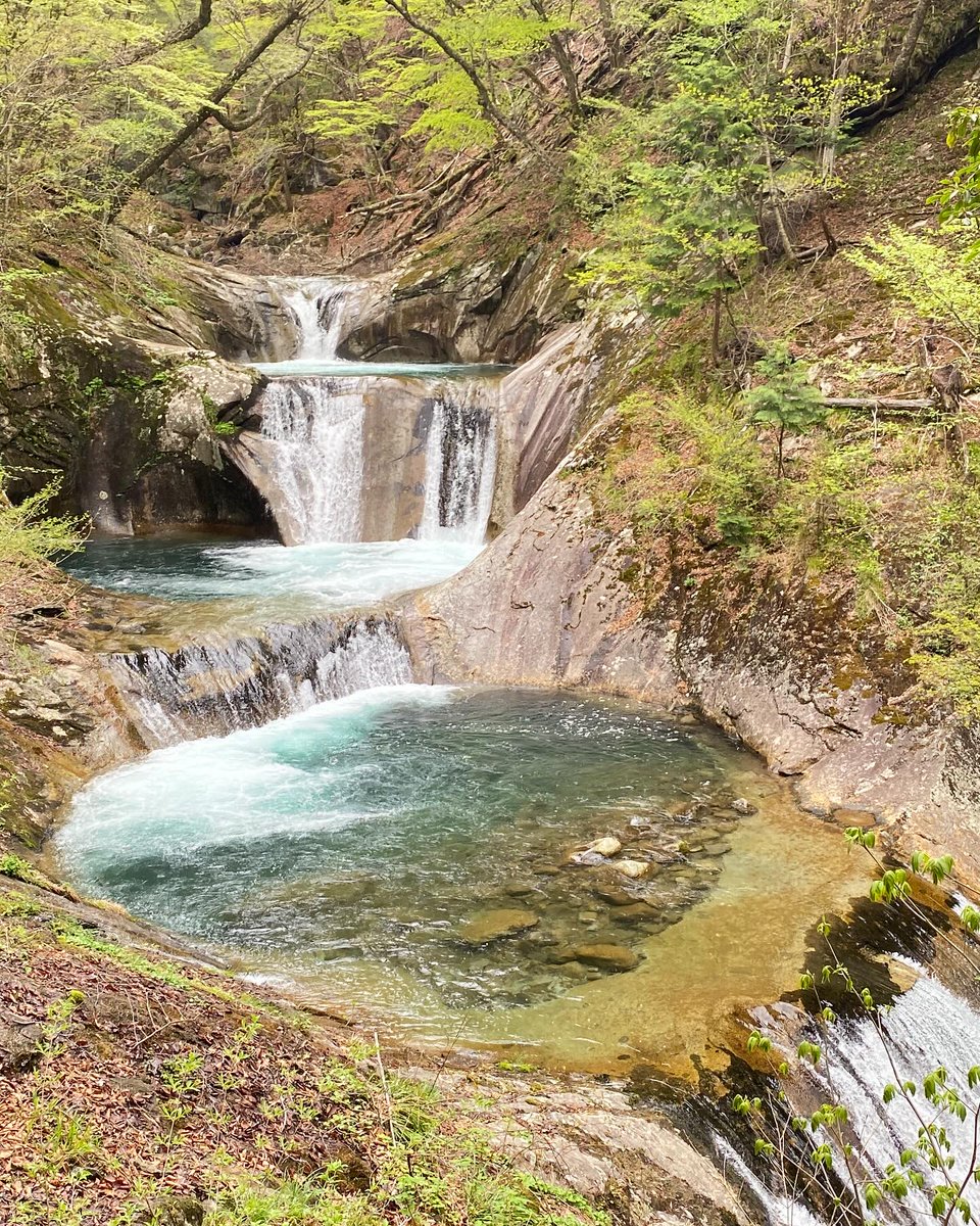 先日のハイキング
西沢渓谷へ
曇り空だったけど雨も降らず
気温ちょうど良く
川の水も新緑もすごいきれいで
気持ちよく歩けました！