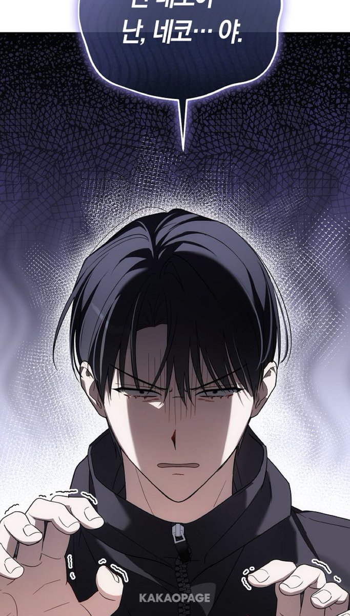 그래 너 고양이 아닌거 잘 알았다