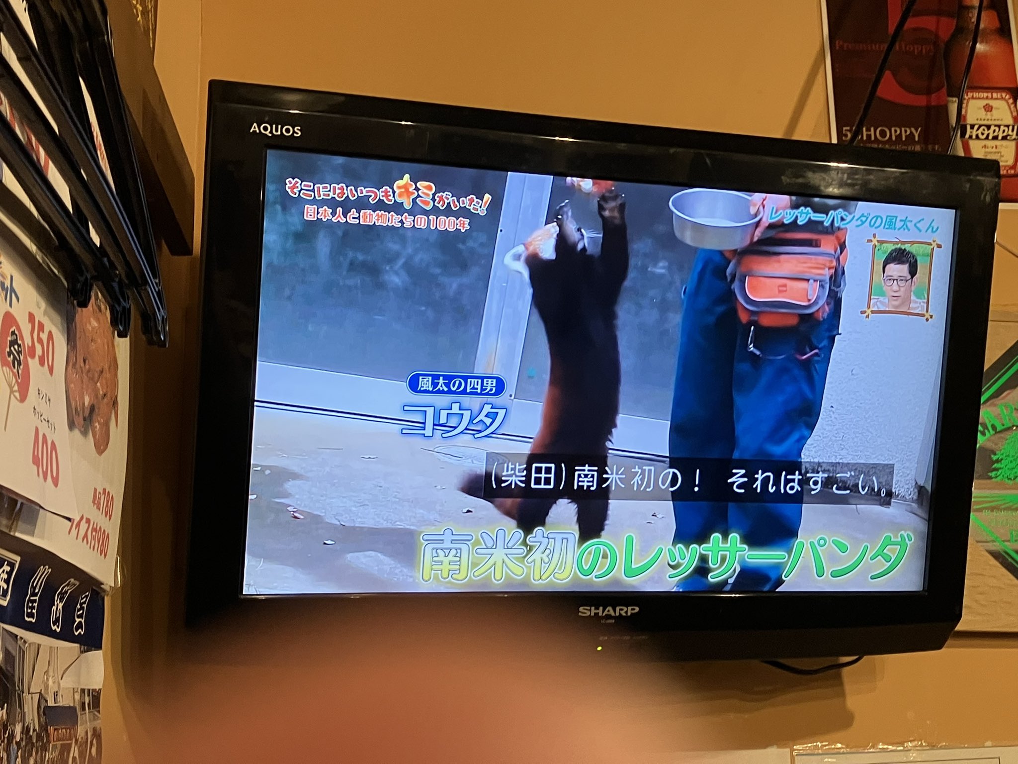 かっちゃん 様　2番共生ハート　オーラ加工タワー　おまとめ かっちゃん 様 2番共生ハート オーラ加工タワー おまとめ