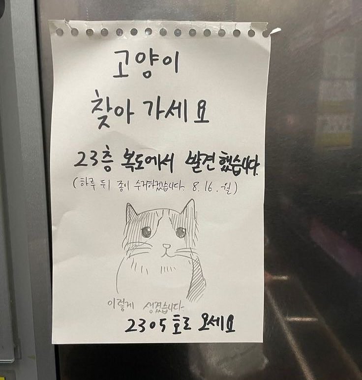 고양이 찾아가세요 이렇게 생겼습니다