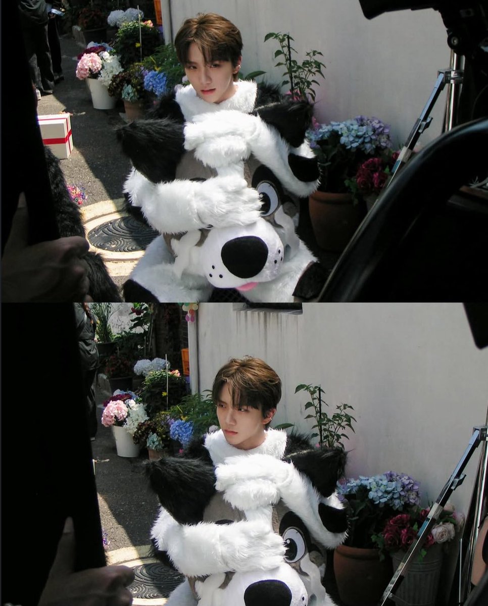 똔강아지왤케잘생겻나요…
