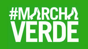El silencio verde en tiempos de crisis

En 2017, miles de ciudadanos vestidos de verde tomaron las calles contra la corrupción y la impunidad. La Marcha Verde se convirtió en un símbolo de indignación, pero sus ataques se concentraron principalmente en el PLD.
Hoy, el PRM