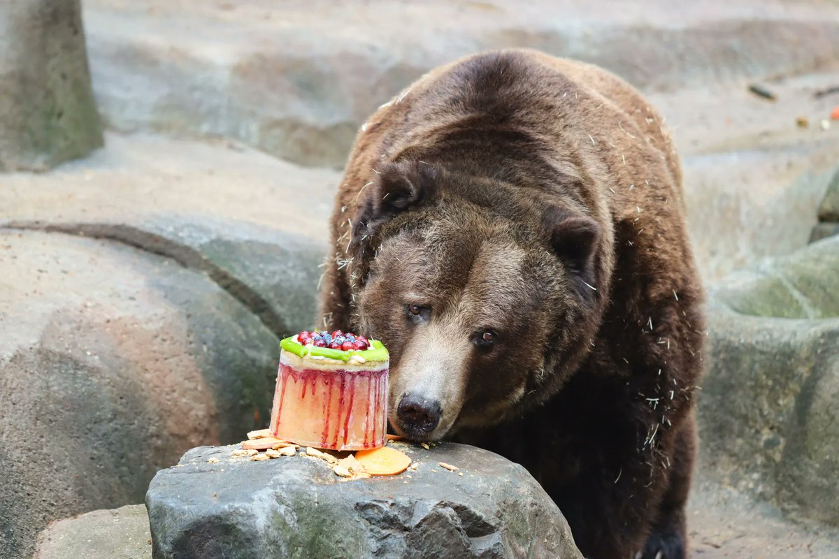 Michael E Martin tweet media