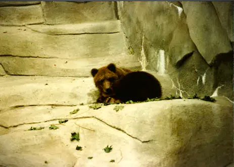 Michael E Martin tweet media