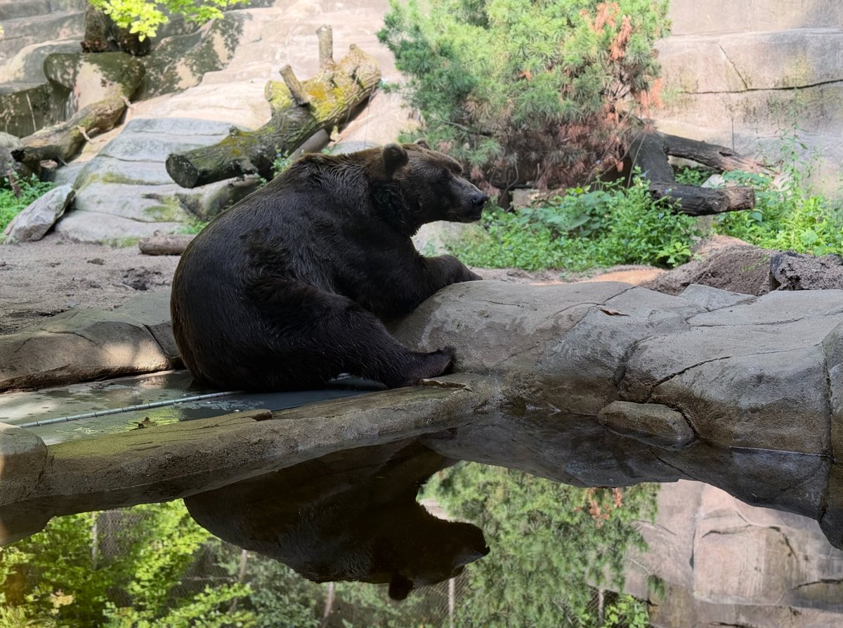 Michael E Martin tweet media