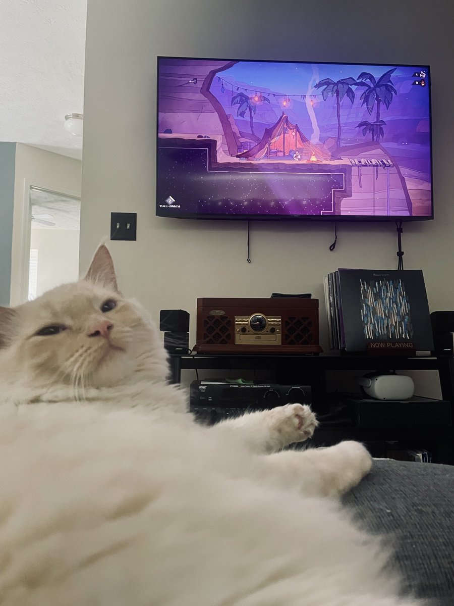 Lazy morning with the goob
