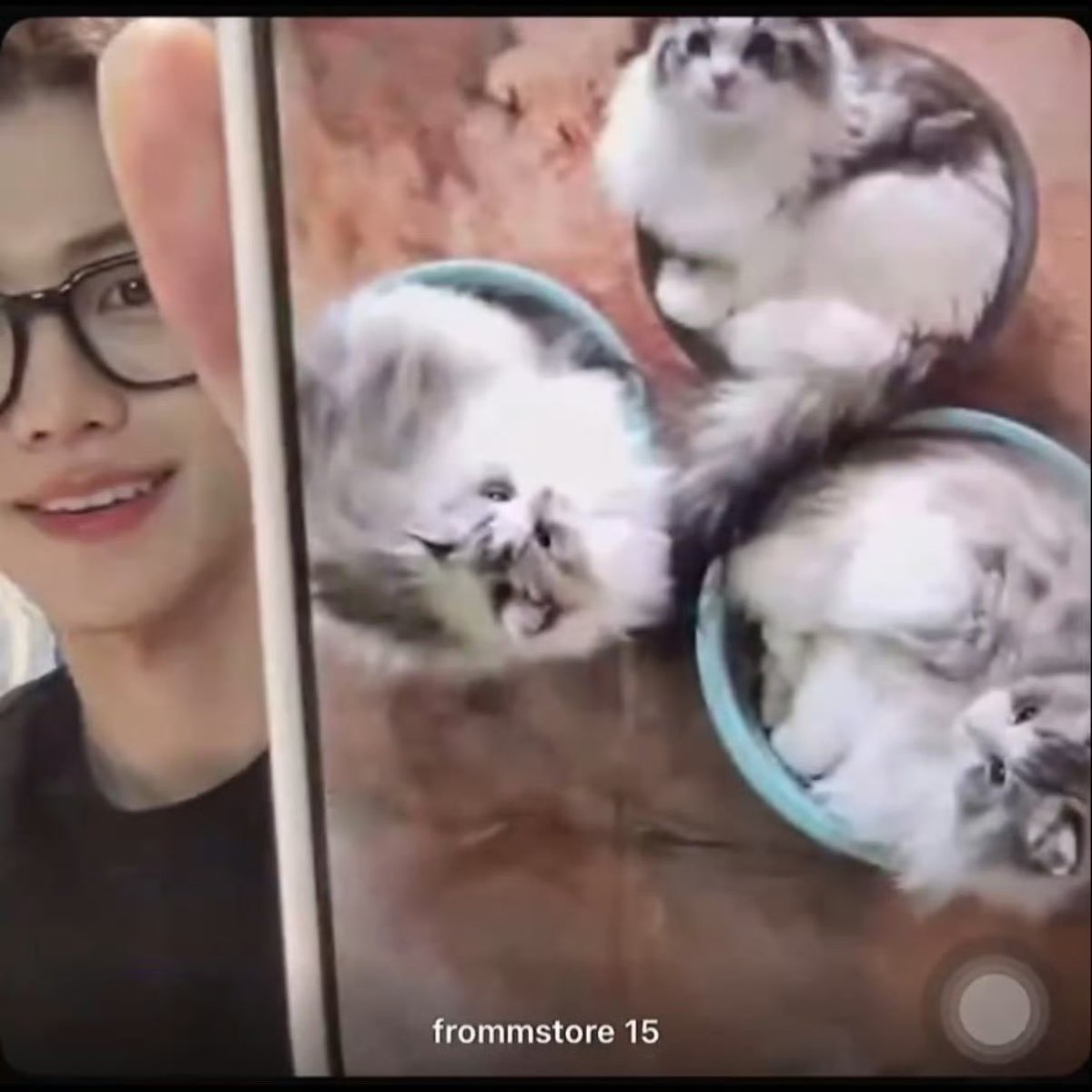 From cuddling together in one basket to each baby having their own 🥹🐱🧺

#JAEMIN #재민 #ジェミン