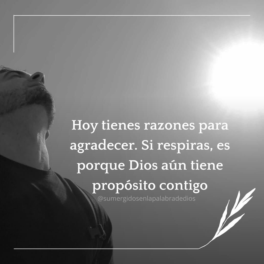 Cada día de vida es una oportunidad de alabar, servir y disfrutar lo que Él te ha dado.   A veces lo olvidamos entre preocupaciones, pero hasta el simple hecho de respirar es un milagro que nos recuerda que no estamos aquí por casualidad.   

🔎Lee:  Salmos 150:6