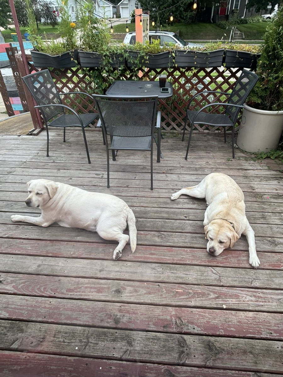Welcoming committee at this morning’s coffee stop