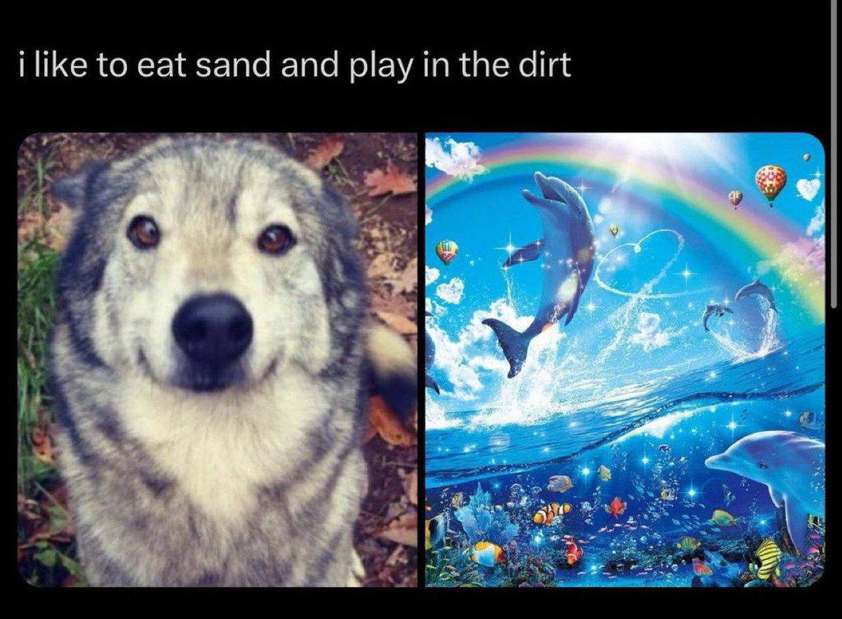 glindacent's tweet image. tyler: say hi to enid for me… i want her screams to haunt you for the rest of your life

enid: