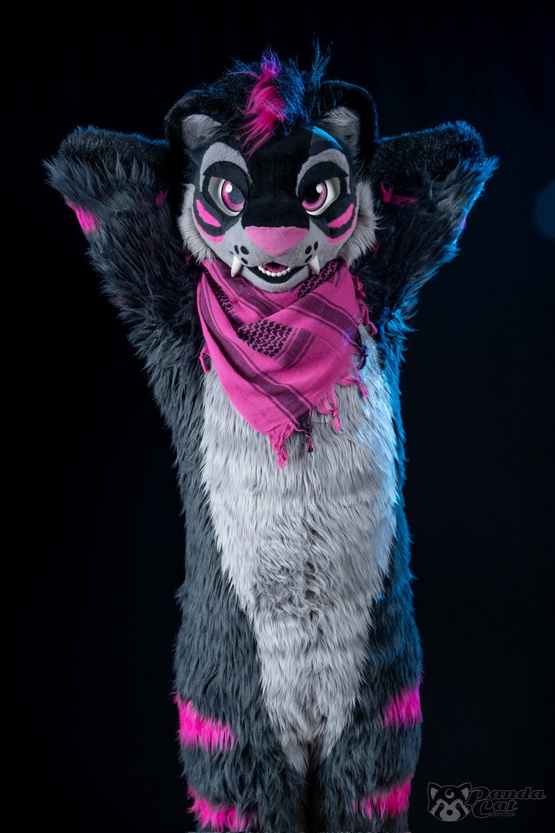 MeekoTooth's tweet photo. You. Me. Belly rubs. Now! >:3 #FursuitFriday
📸: @DuskPanda https://t.co/bE4vy9bcqb