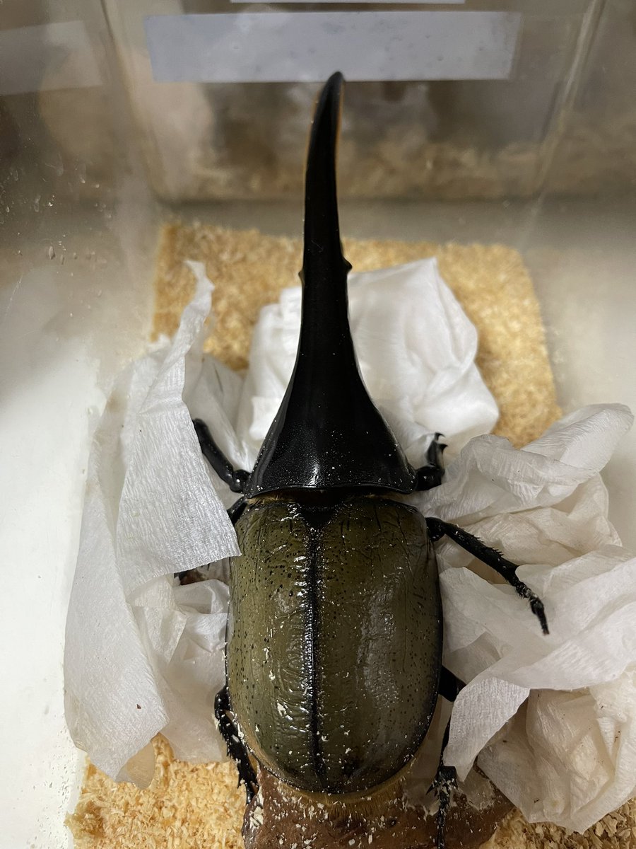 クワ品♡ KPW公式オンラインショップ