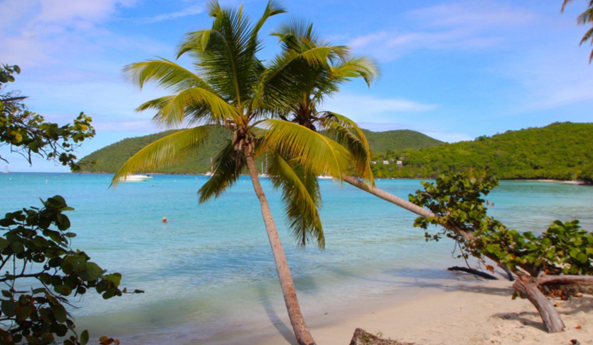 Limited posting until September 2  .... ⛵️🌴☀️⛵️