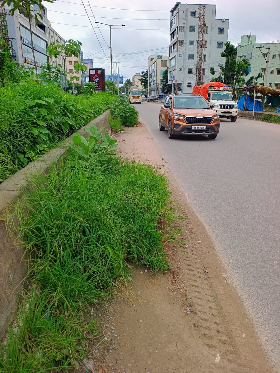 Nallagandla HUDA Development Forum (@nallagandlahuda) on Twitter photo Vanamahotsavam special drive by <a href="/GHMCOnline/">GHMC</a> Nallagandla Tellapur main road is filled with dust and debris, its extended to such an extent that plants are growing and becoming trees.
please take a note and clear <a href="/ZC_SLP/">ZC SERILINGAMPALLY ZONE GHMC</a> <a href="/dc_slp20/">DC Serilingampally GHMC</a> <a href="/CommissionrGHMC/">Commissioner GHMC</a> <a href="/gadwalvijayainc/">Vijayalaxmi Gadwal, GHMC MAYOR</a> <a href="/mctellapur/">TELLAPUR MUNICIPALITY</a> Vanamahotsavam special drive by <a href="/GHMCOnline/">GHMC</a> Nallagandla Tellapur main road is filled with dust and debris, its extended to such an extent that plants are growing and becoming trees.
please take a note and clear <a href="/ZC_SLP/">ZC SERILINGAMPALLY ZONE GHMC</a> <a href="/dc_slp20/">DC Serilingampally GHMC</a> <a href="/CommissionrGHMC/">Commissioner GHMC</a> <a href="/gadwalvijayainc/">Vijayalaxmi Gadwal, GHMC MAYOR</a> <a href="/mctellapur/">TELLAPUR MUNICIPALITY</a>