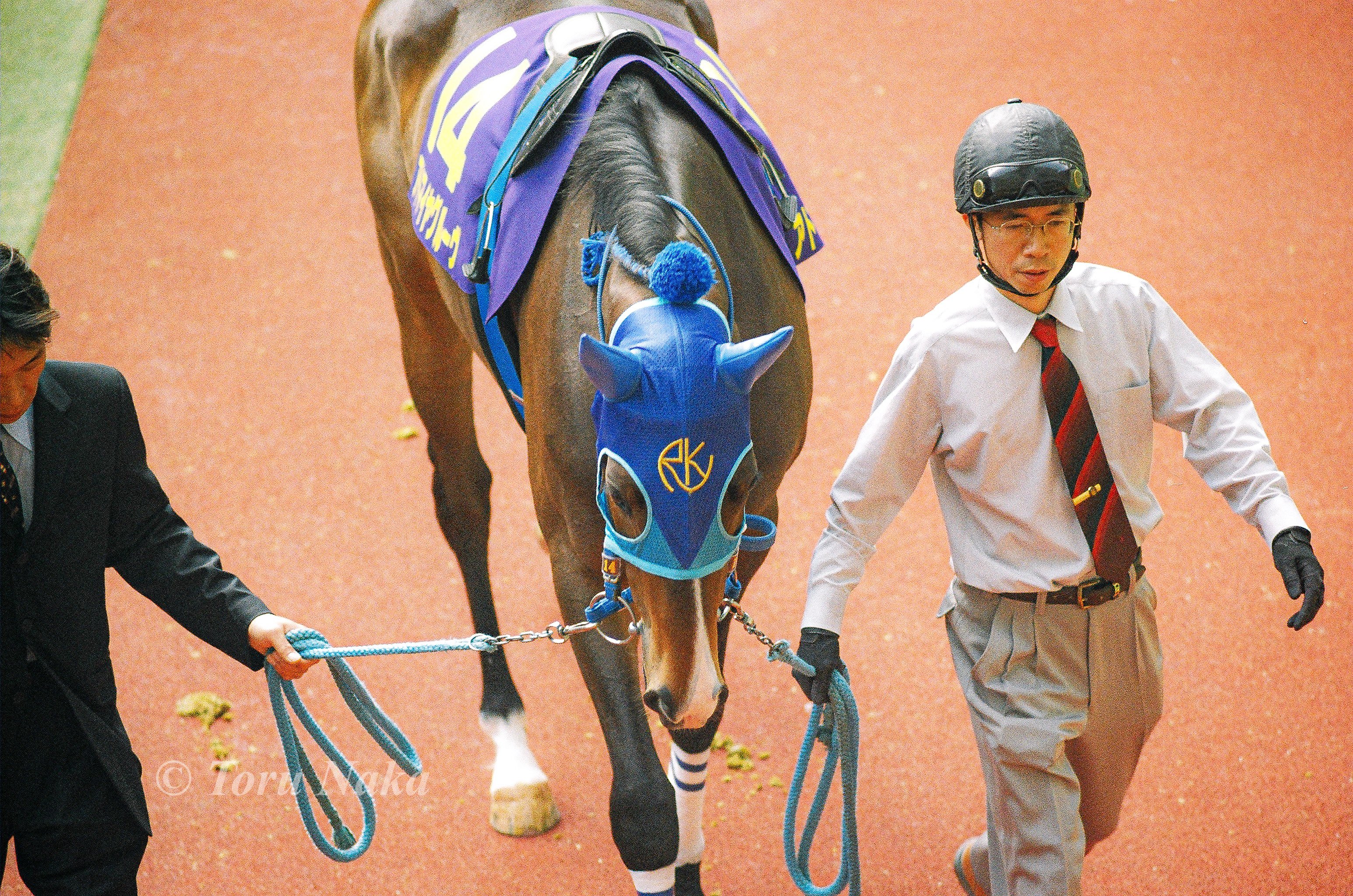 期限切れ単勝馬券】 桜花賞 2003 スティルインラブ ウマ娘 2003