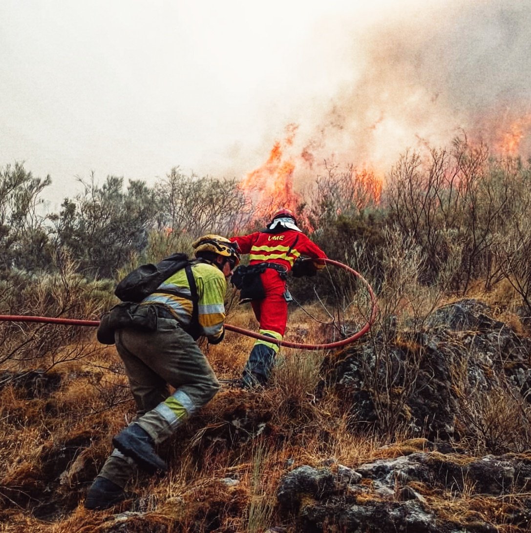 No soy ninguno de los que salen en la imagen, pero es mi favorita de todas las que se han hecho durante estos fatídicos días.
Representa esfuerzo, sacrificio, vocación, inquebrantable voluntad de vencer, y sobre todo: UNIÓN.
#JuntosSomosMasFuertes 💪🏼

📷: <a href="/UMEgob/">UME</a>